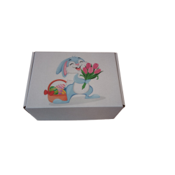Rabbit  18x13x9