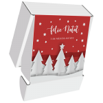 Pack de 10-Cabaz de Natal - 30x30x10 cm