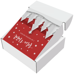 Pack de 10-Cabaz de Natal - 30x30x10 cm